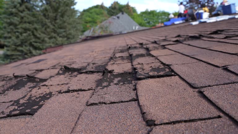 Best Rubber Roofing (EPDM, TPO)  in Slinger, WI